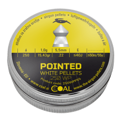 Pointed 250 WP 5.5 / .22